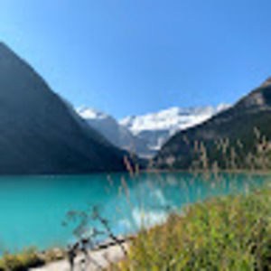 Meet your Posher, Janet